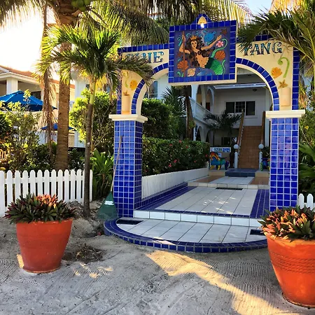 Blue Tang Inn - Beachfront Suites And Pool