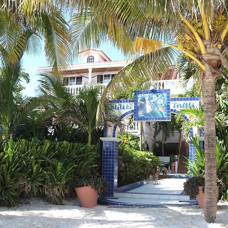 Blue Tang Inn - Beachfront Suites And Pool
