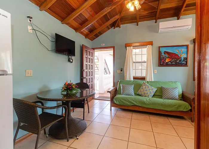Blue Tang - Beachfront And Pool Hotel San Pedro (Ambergris Caye)
