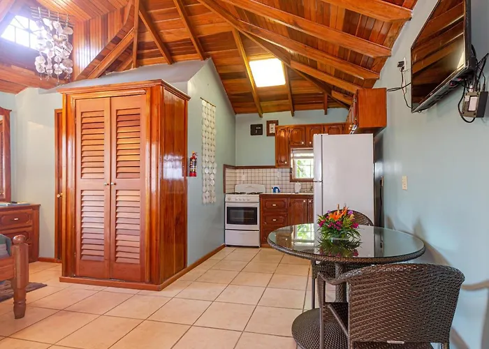 Blue Tang - Beachfront And Pool 3*
