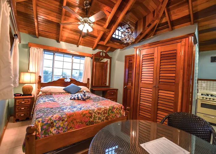 Blue Tang - Beachfront And Pool 3*