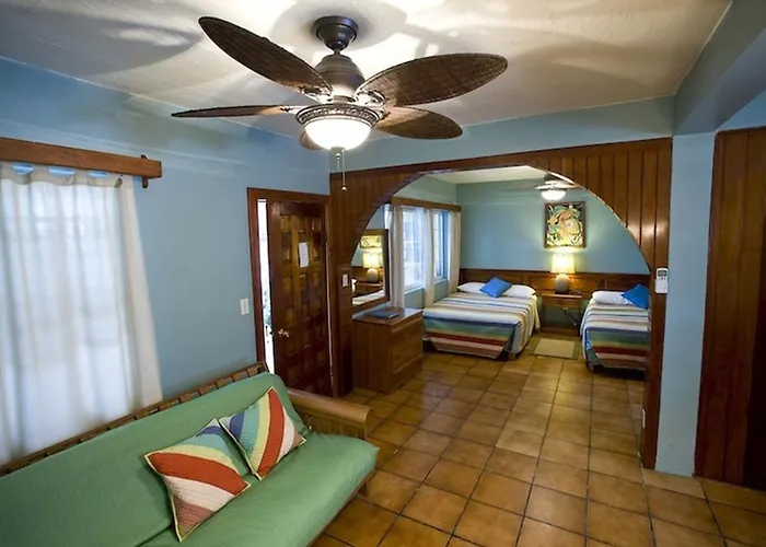 Hotel Blue Tang - Beachfront And Pool 3*