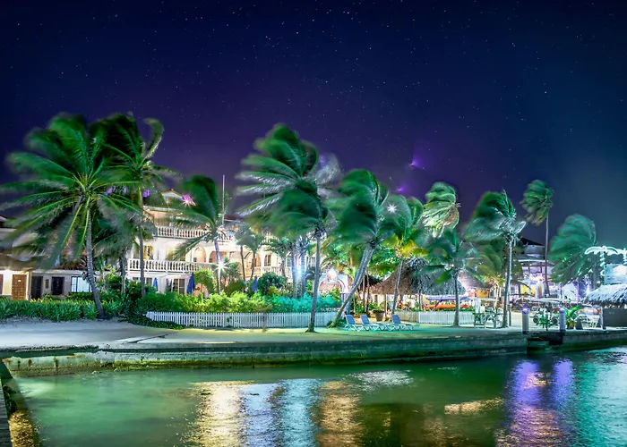 Hotel Blue Tang - Beachfront And Pool