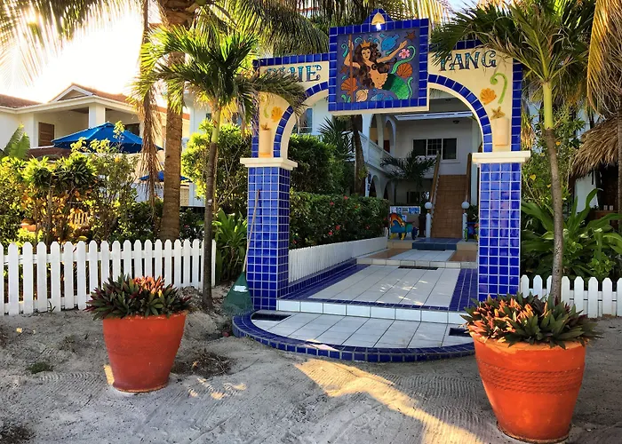 Blue Tang - Beachfront And Pool 3*