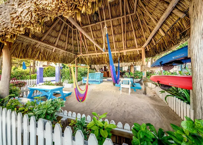 Blue Tang - Beachfront And Pool