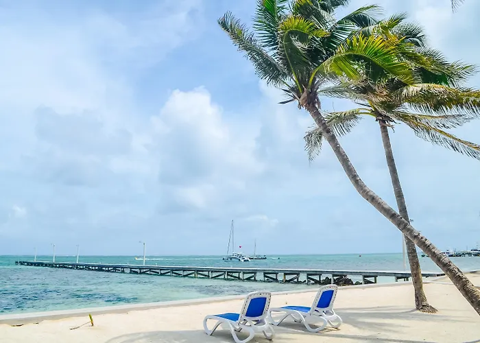 Blue Tang - Beachfront And Pool 3* San Pedro (Ambergris Caye)