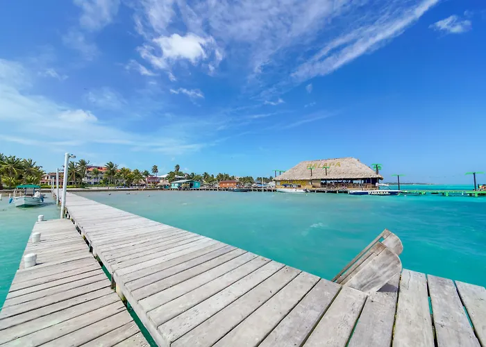 Blue Tang - Beachfront And Pool Hotel San Pedro (Ambergris Caye)