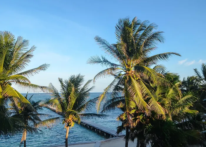 Hotel Blue Tang - Beachfront And Pool San Pedro (Ambergris Caye)