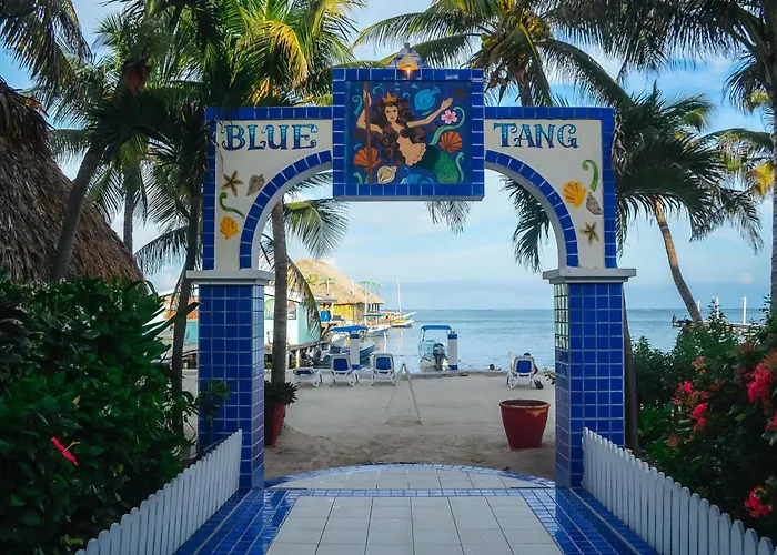 Blue Tang - Beachfront And Pool Hotel 3*