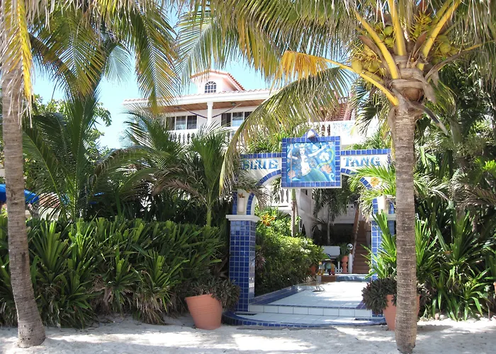Hotel Blue Tang - Beachfront And Pool San Pedro (Ambergris Caye)