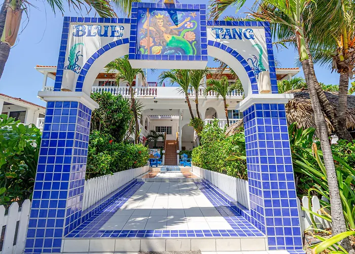 Hotel Blue Tang - Beachfront And Pool