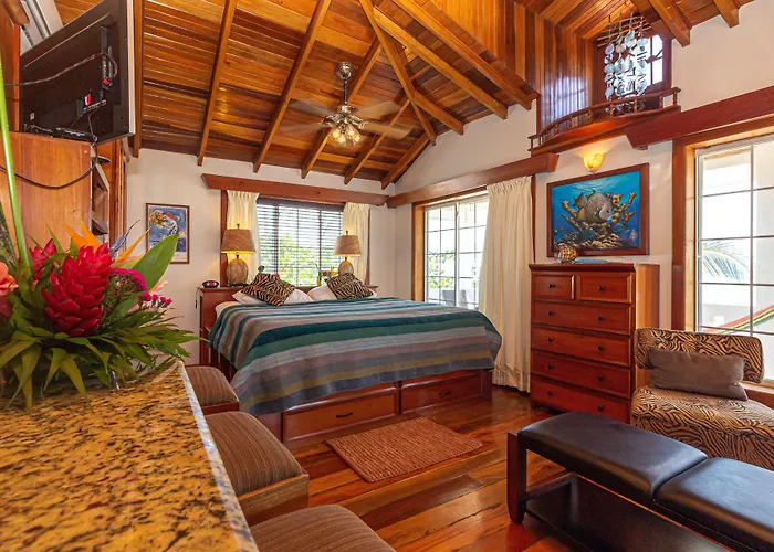 Blue Tang - Beachfront And Pool 3* San Pedro (Ambergris Caye)