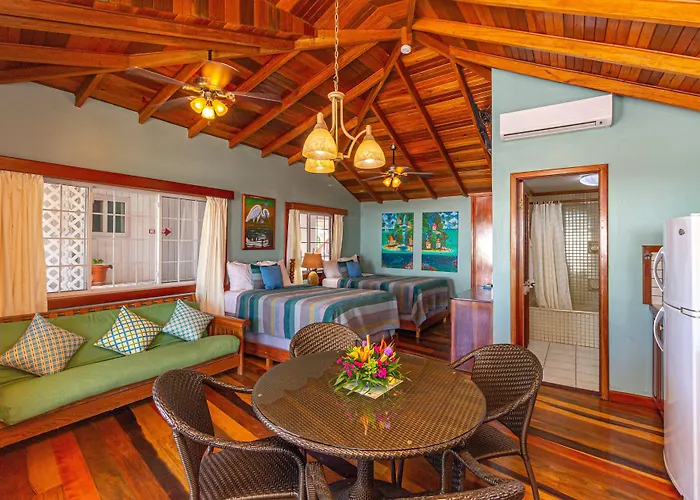 Blue Tang - Beachfront And Pool