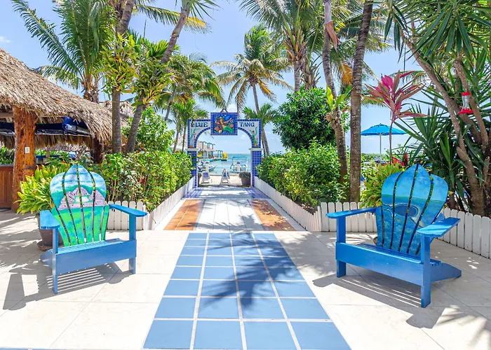 Blue Tang - Beachfront And Pool 3* San Pedro (Ambergris Caye)