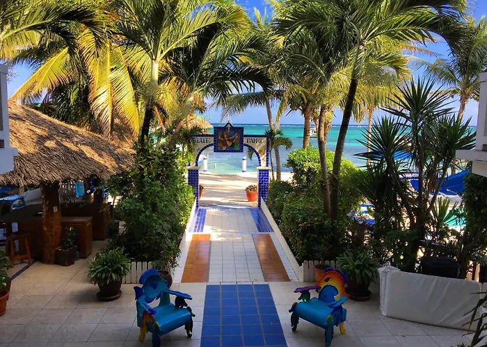 Blue Tang - Beachfront And Pool Hotel
