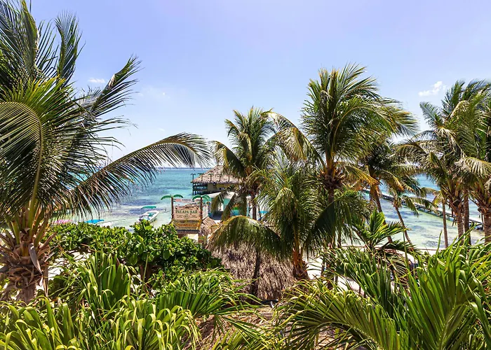 Hotel Blue Tang - Beachfront And Pool San Pedro (Ambergris Caye)