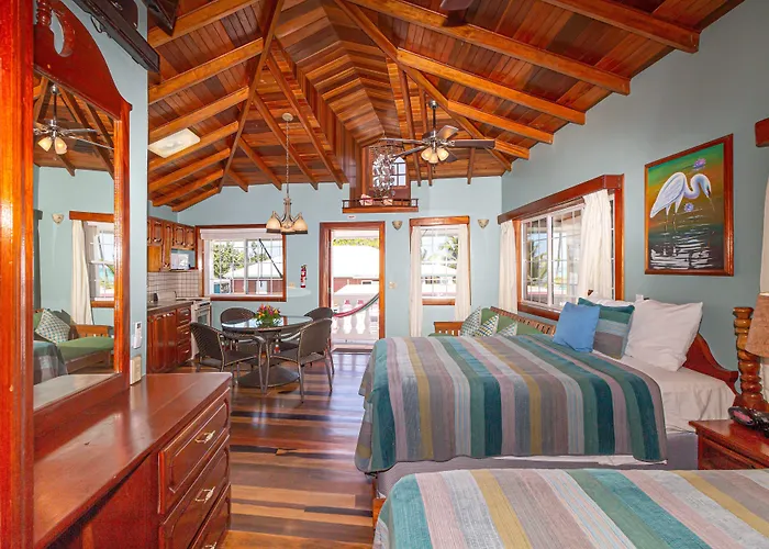 Blue Tang - Beachfront And Pool