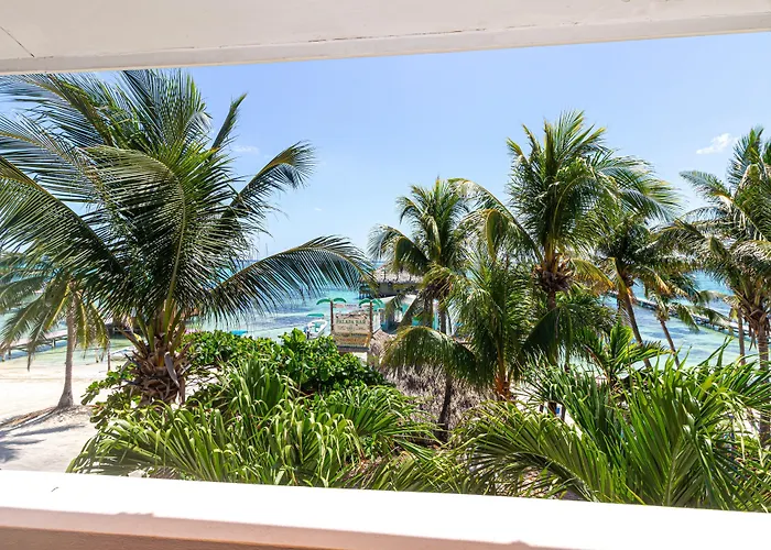 Blue Tang - Beachfront And Pool Hotel San Pedro (Ambergris Caye)