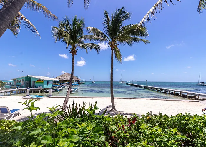 Blue Tang - Beachfront And Pool Hotel San Pedro (Ambergris Caye)